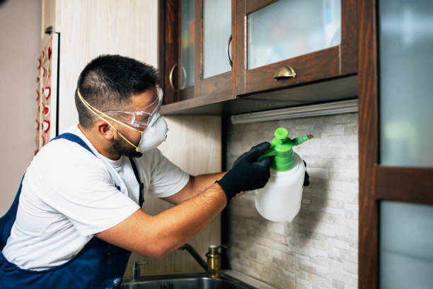 Professional Pest Control in Boyes Hot Springs, CA