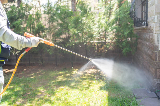 Best Pest Prevention Services  in Boyes Hot Springs, CA