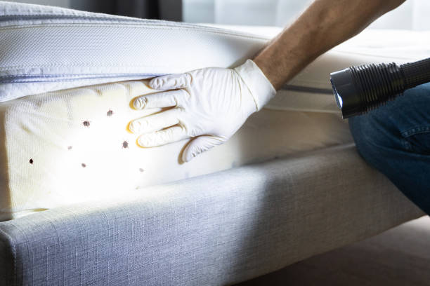 Pest Prevention Services in Boyes Hot Springs, CA