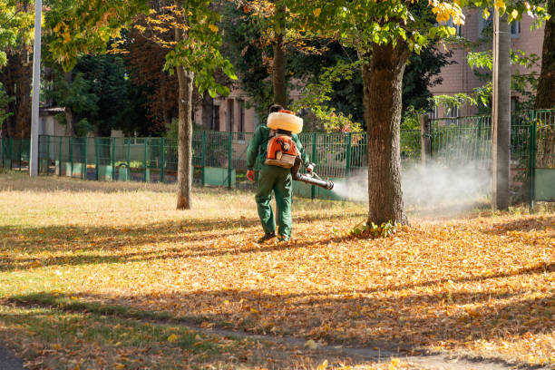 Best Best Pest Control Companies  in Boyes Hot Springs, CA