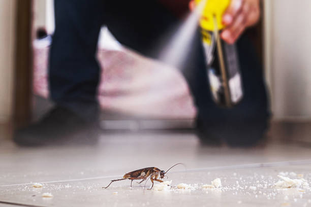 Best Wildlife Control Services  in Boyes Hot Springs, CA